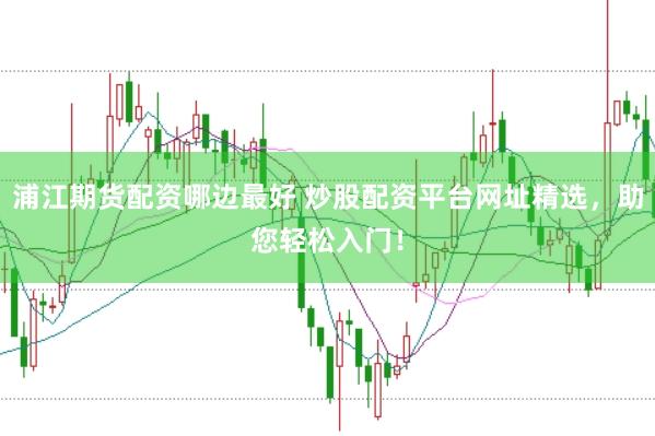 浦江期货配资哪边最好 炒股配资平台网址精选，助您轻松入门！
