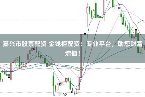 嘉兴市股票配资 金钱柜配资：专业平台，助您财富增值！