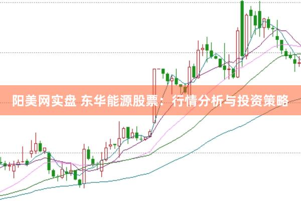 阳美网实盘 东华能源股票：行情分析与投资策略