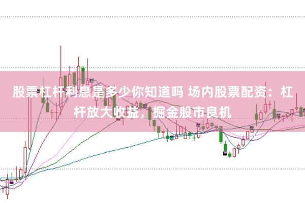 股票杠杆利息是多少你知道吗 场内股票配资：杠杆放大收益，掘金股市良机