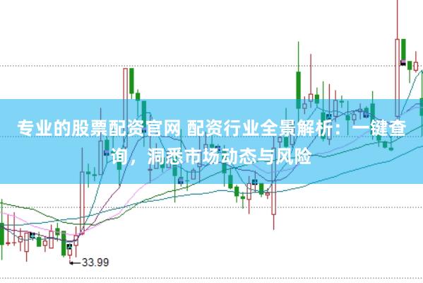 专业的股票配资官网 配资行业全景解析：一键查询，洞悉市场动态与风险