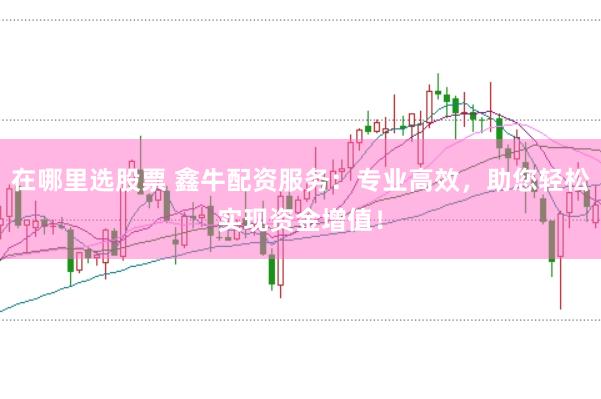 在哪里选股票 鑫牛配资服务：专业高效，助您轻松实现资金增值！