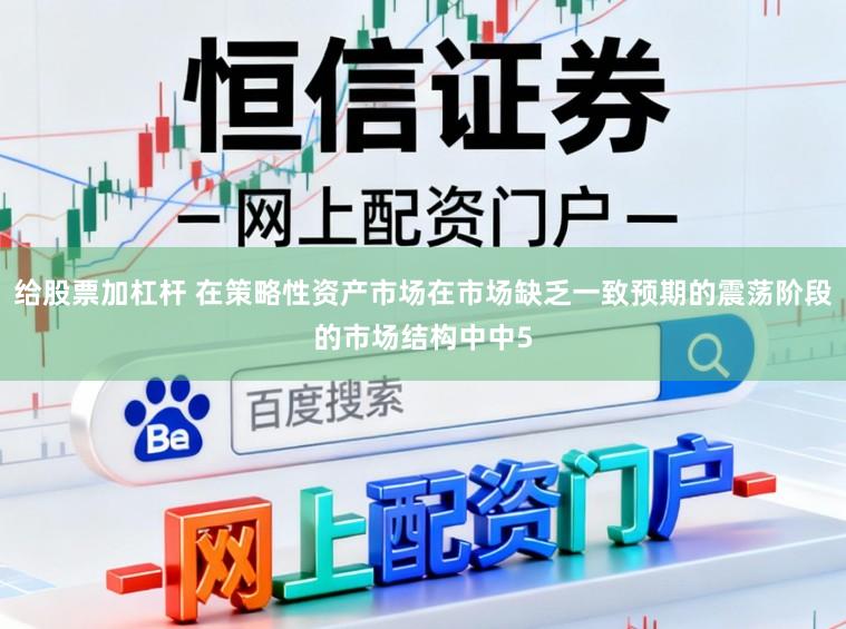 给股票加杠杆 在策略性资产市场在市场缺乏一致预期的震荡阶段的市场结构中中5